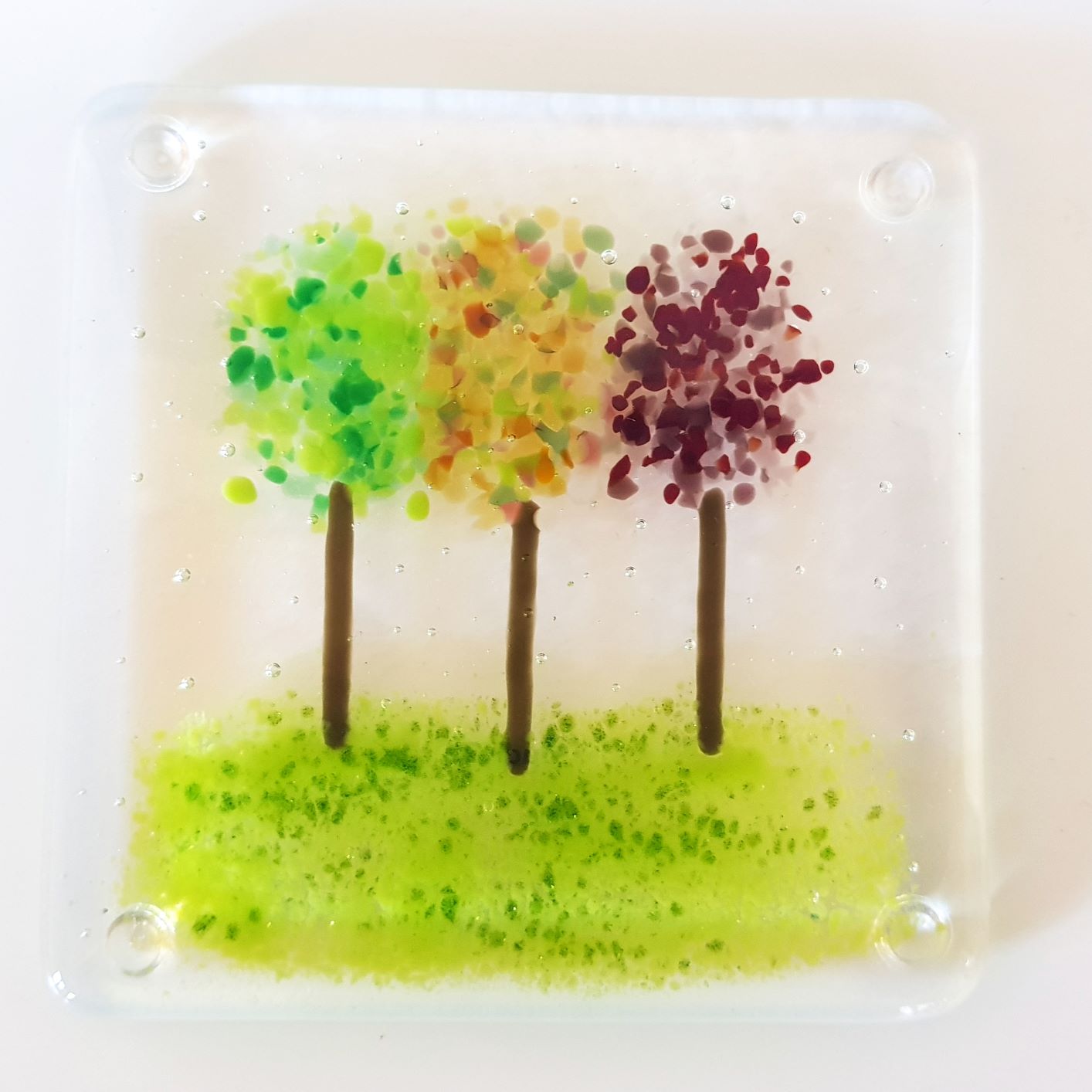 Trees coaster
